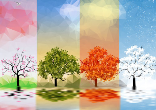 Illustration of the seasons