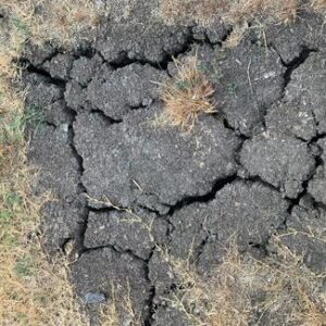 SFR_Dry_Soil_1_50