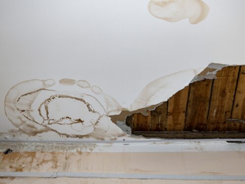 Common Roof Leaks and What They Mean for Your Home’s Structure